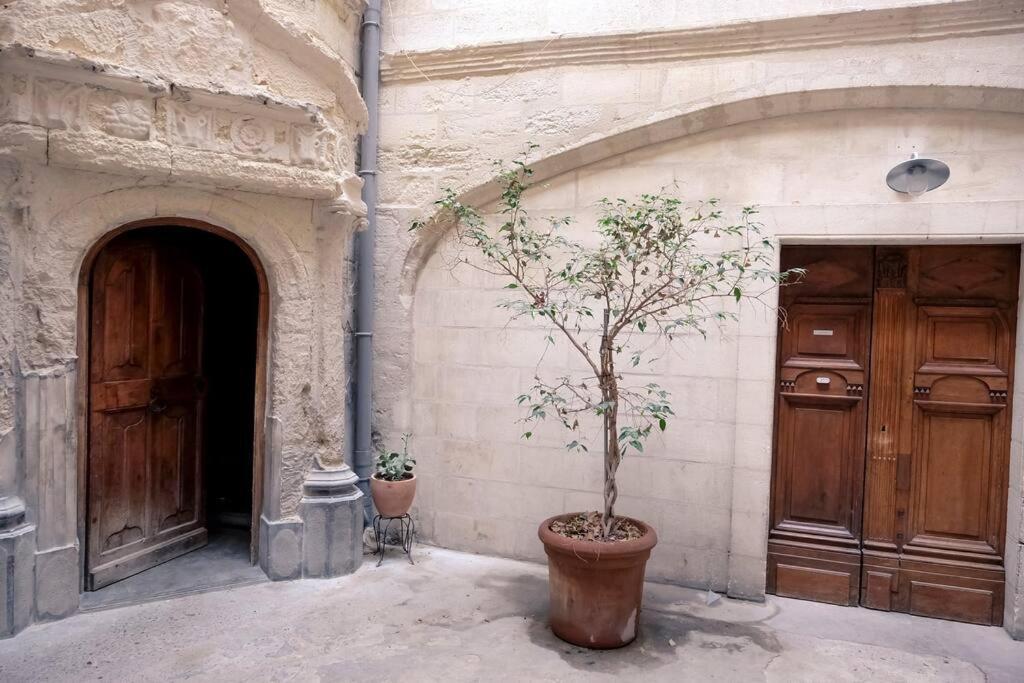 Noa - Mont Piete Studio Intramuros - 亞維農 外观 照片